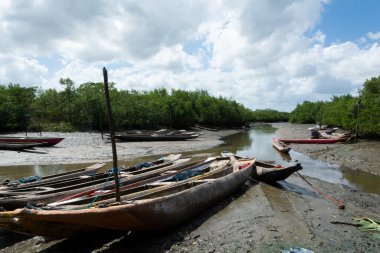Santo Amaro, Bahia, Brezilya - 19 Temmuz 2015: Bahia 'nın Santo Amaro kentindeki Acupe ilçesine çok sayıda balıkçı kanosu kenetlendi.