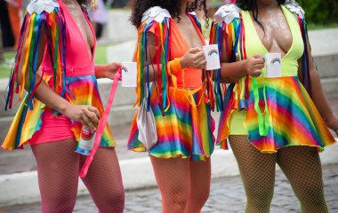 Maragogipe, Bahia, Brezilya - 11 Şubat 2024: Bahia eyaletinin Maragogipe kentindeki karnavalda farklı stilde giyinmiş insanlar sahne alırken görülüyor.