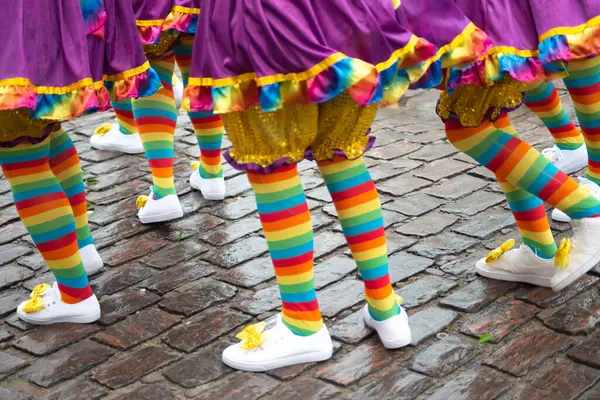 Maragogipe, Bahia, Brezilya - 11 Şubat 2024: Bahia 'daki Maragogipe kentindeki karnaval sırasında kostümlü alt kesim eğleniyor.