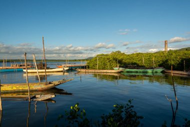 Kanolar büyük bir nehre kenetlendi. Santiago iguape yap, Bahia.