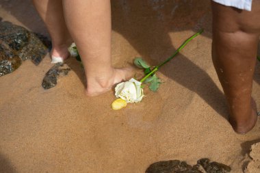 Kumsalda çiçekler. Dini bir övgü. Salvador, Bahia.