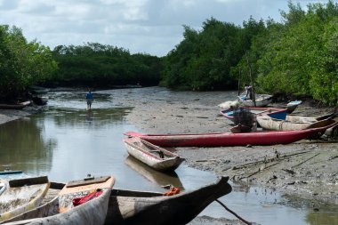 Santo Amaro, Bahia, Brezilya - 19 Temmuz 2015: Bahia 'nın Santo Amaro kentinin Acupe limanında balıkçı kanoları manzarası durdu.