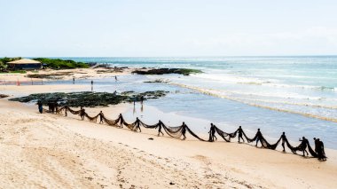 Salvador, Bahia, Brezilya - 25 Aralık 2018: Balıkçılar, Bahia 'nın Salvador kentindeki Boca do Rio plajında büyük bir balık ağı taşırken görüldü..