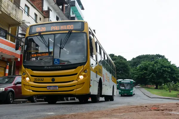 Salvador Bahia Brasil Enero 2024 Movimiento Del Tráfico Autobuses Región — Foto de Stock