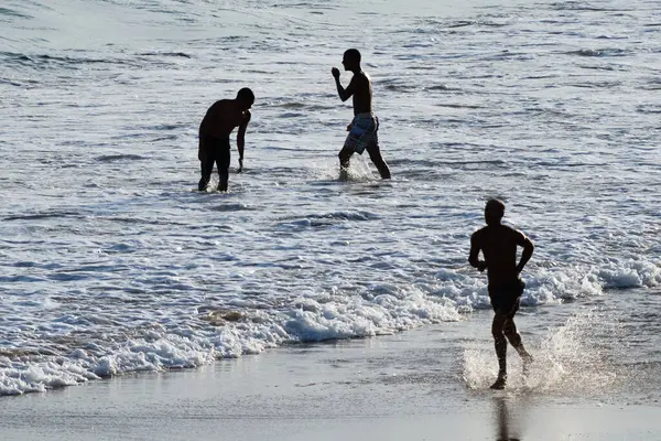 Salvador, Bahia, Brezilya - 14 Şubat 2019: İnsanlar plajda, siluette, gün batımında Salvador, Bahia 'da eğlenirken görülüyor.