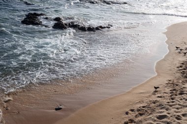 Sahilin kenarında kayalar ve köpüklü dalgalar var. Güneşli gün, sakin deniz suyu.