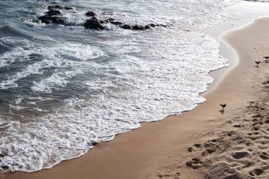 Sahilin kenarında küçük dalgalar. Güneşli gün, sakin deniz suyu.
