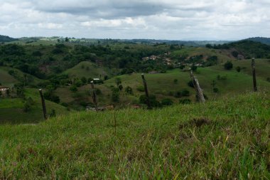 Tepeler, ağaçlar ve birçok yeşil bitkinin olduğu şehir manzarası. Korunmuş ortam.