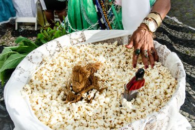 Salvador, Bahia, Brezilya - 16 Ağustos 2019: Candomble üyeleri Bahia 'nın Salvador kentindeki Sao Roque partisi sırasında patlamış mısır banyosuna katıldılar.