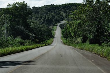 Etrafı tropik ormanlarla çevrili asfalt yol. Yolculuktaki gizem. Bahia Brezilya.