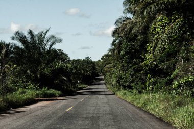 Etrafı tropik ormanlarla çevrili asfalt yol. Yolculuktaki gizem. Bahia Brezilya.