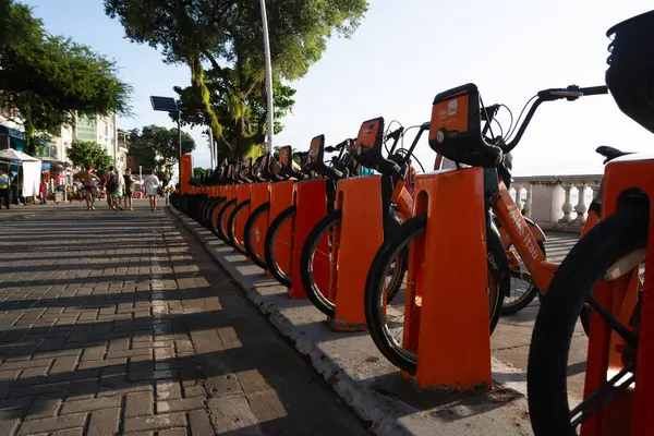 stock image Salvador, Bahia, Brazil - September 14, 2024: Bicycles for rent are seen in a line on the edge of Porto da Barra beach in the city of Salvador, Bahia.