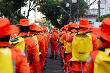 Salvador, Bahia, Brazil - September 07, 2024: Firefighters are seen preparing for the Brazilian Independence Day parade. City of Salvador, Bahia. clipart