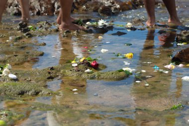 Salvador, Bahia 'da Iemanja anısına sahilde yürüyen candomble insanlar görülüyor..
