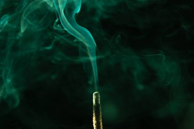 Yumuşak yeşil tonlarda tütsü dumanı. Stüdyo çekimi.