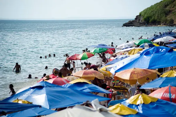 Salvador, Bahia, Brezilya - 31 Aralık 2024: İnsanlar güneş altında Boa Viagem plajında eğleniyorlar. Salvador, Bahia.