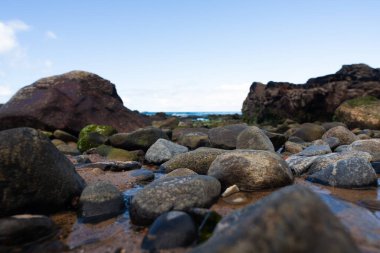 Plajın kenarında dokuyla dolu ıslak kaya oluşumu. Korunmuş çevre. Brezilya