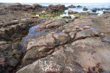Plajın kenarında dokuyla dolu ıslak kaya oluşumu. Korunmuş çevre. Güç, istikrar ve doğanın saf güzelliği..