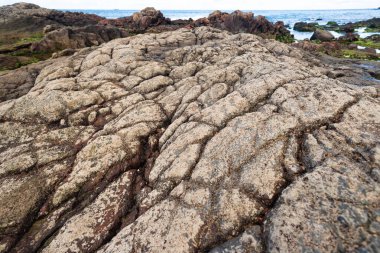 Plajın kenarında dokuyla dolu ıslak kaya oluşumu. Korunmuş çevre. Güç, istikrar ve doğanın saf güzelliği..