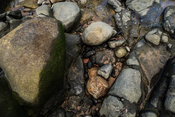 Plajın kenarında ıslak taşlar ve kayalar. Korunmuş çevre. Yaşayan doğa.