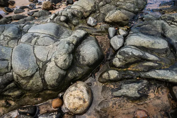 Plajın kenarında ıslak taşlar ve kayalar. Korunmuş çevre. Yaşayan doğa.