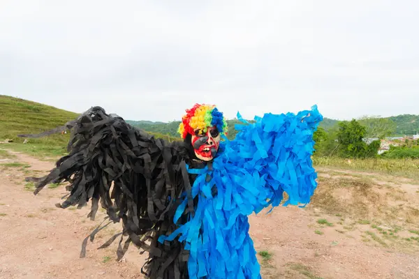 Korkunç kostüm ve maske giymiş kimliği belirsiz biri. Kırsal kültür alanı. Brezilya 'da karnaval günü.