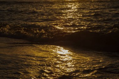 Şafak vakti kumsalın üzerinden geçen dalgalar. Çevre. Brezilya