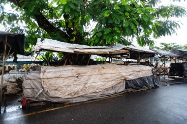 Santo Amaro, Bahia, Brezilya - 18 Mayıs 2025: 