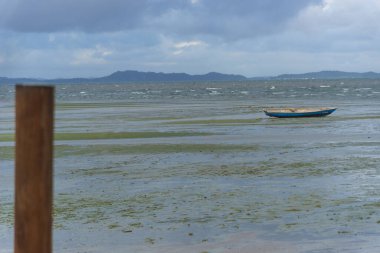 Yağmurlu bir günde sahil manzarası deniz kıyısında ahşap kazıklar. Brezilya
