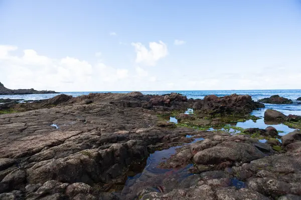 Brezilya, Saalvdor 'dan Rocky Sahili. Fırtınalı hava. Korunmuş ortam.