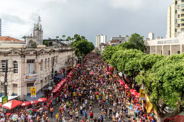 Salvador, Bahia, Brezilya - 01 Mart 2025: Bahia kentinin Salvador kentindeki karnaval geçidinde birkaç kişi takip edilip dans ederken görüldü.