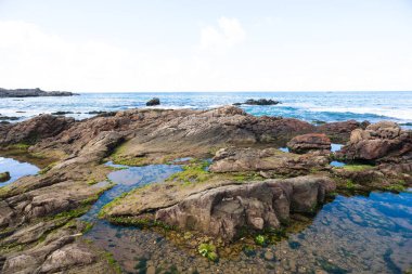 Brezilya, Salvador 'un Rocky Sahili. Fırtınalı hava. Korunmuş ortam.