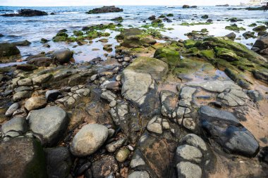 Plajın kenarında ıslak taşlar ve kayalar. Korunmuş çevre. Yaşayan doğa.