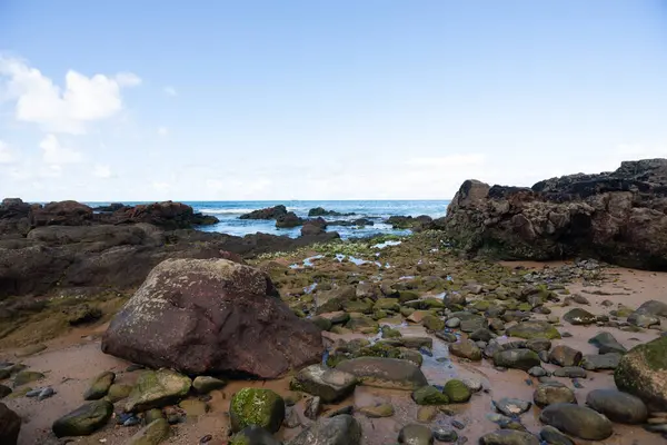 Brezilya, Saalvdor 'dan Rocky Sahili. Fırtınalı hava. Korunmuş ortam.