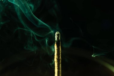 Yumuşak yeşil tonlarda tütsü dumanı. Stüdyo çekimi.