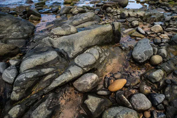 Plajın kenarında ıslak taşlar ve kayalar. Korunmuş çevre. Yaşayan doğa.