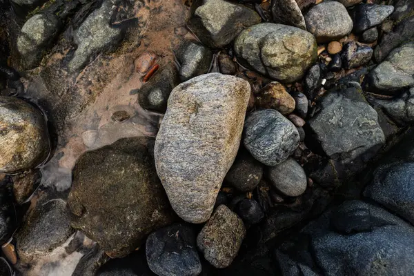 Plajın kenarında ıslak taşlar ve kayalar. Korunmuş çevre. Yaşayan doğa.