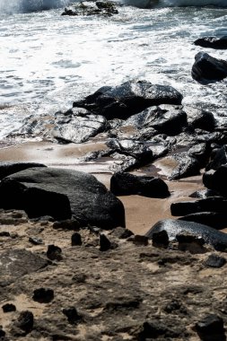 Plajın kenarında ıslak koyu kayalar. Sıcak yaz günü. Doğa