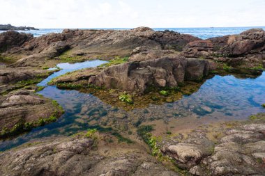 Engebeli kayalık bir sahilin fotoğrafı, doğanın gücünü, istikrarını ve saf güzelliğini çağrıştırıyor. Brezilya.