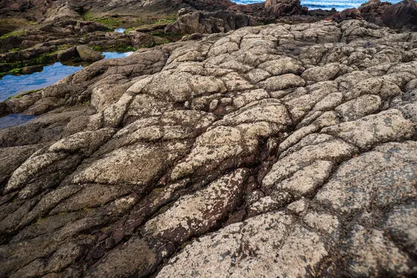Engebeli kayalık bir sahilin fotoğrafı, doğanın gücünü, istikrarını ve saf güzelliğini çağrıştırıyor. Brezilya.