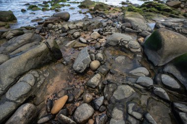Plajın kenarında ıslak taşlar ve kayalar. Korunmuş çevre. Yaşayan doğa.