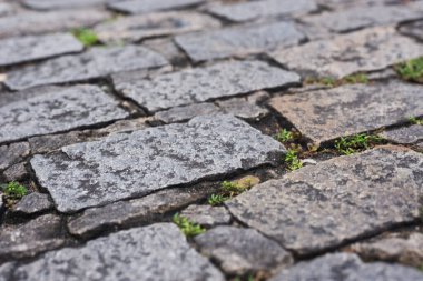 Kare ve dikdörtgen taşlı bir kaldırım dokusu. Geometrik desen. Geçmişi. Soyut. Uzayı kopyala Taşlar