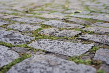 Kare ve dikdörtgen taşlı bir kaldırım dokusu. Geometrik desen. Geçmişi. Soyut. Uzayı kopyala Taşlar