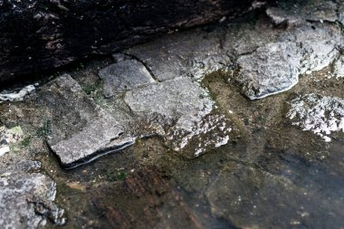 Taş zemin, yağmurdan ıslanmış bir caddenin kaldırımı. Sulu doku. Projeler için arka plan. Soyut