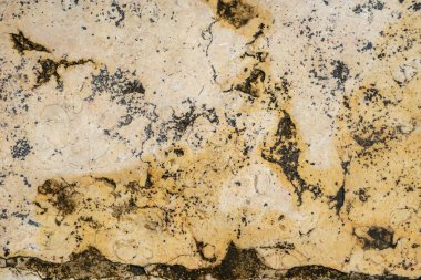 Sarı mermer zemin. Granit. Islak yağmur dokusu. Projeler için arka plan. Soyut