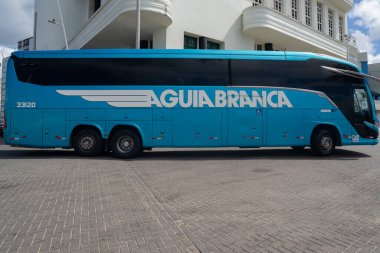 Bahia, Salvador 'da Farol da Barra' nın kıyısında seyahat eden Guia Branca şirketinden bir yolcu otobüsü görülüyor..