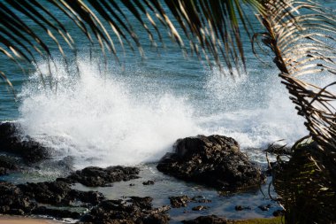 Crashing waves crash against a rugged rocky shoreline with a distant horizon and a silhouette fringed by palm trees, creating a dramatic tropical seascape rich in movement and coastal atmosphere.