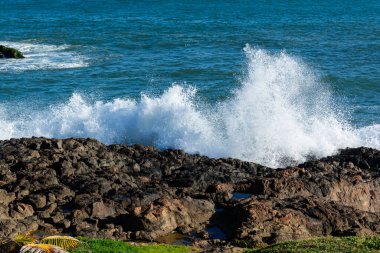 Crashing waves crash against a rugged rocky shoreline with a distant horizon and a silhouette fringed by palm trees, creating a dramatic tropical seascape rich in movement and coastal atmosphere.