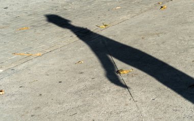 A strong shadow of a person stretches across a concrete sidewalk, scattered with autumn leaves.