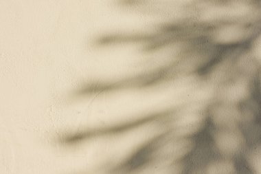 Ormanda parlayan güneşin gölgesi